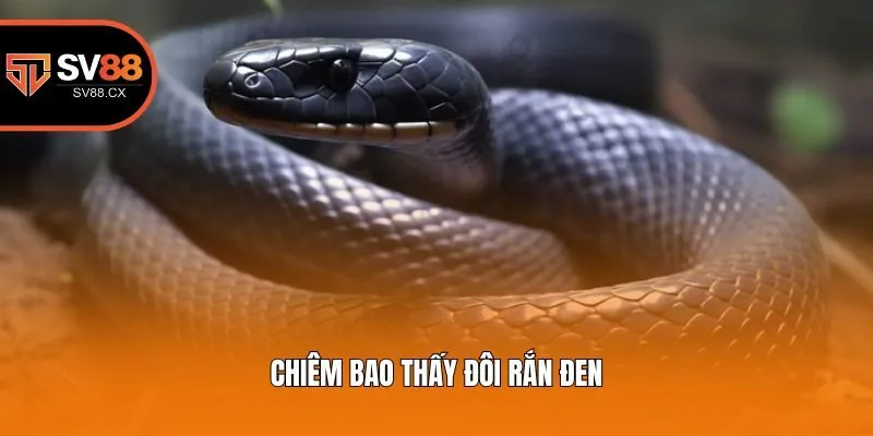 Chiêm bao thấy đôi rắn đen