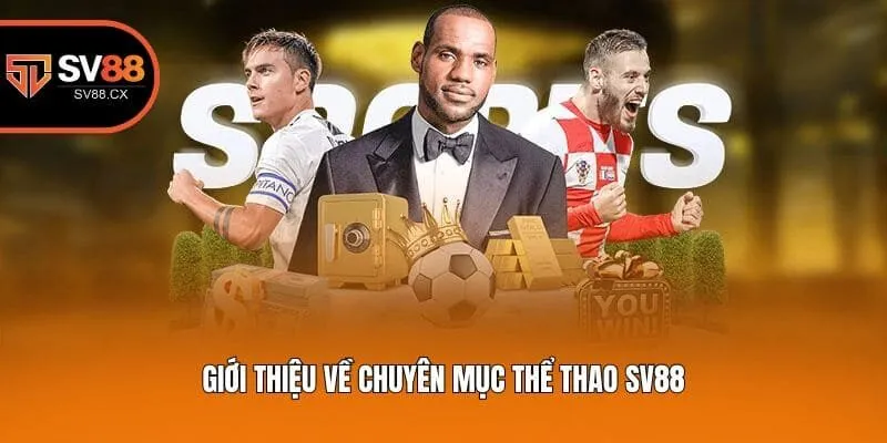 Giới thiệu về chuyên mục thể thao Sv88